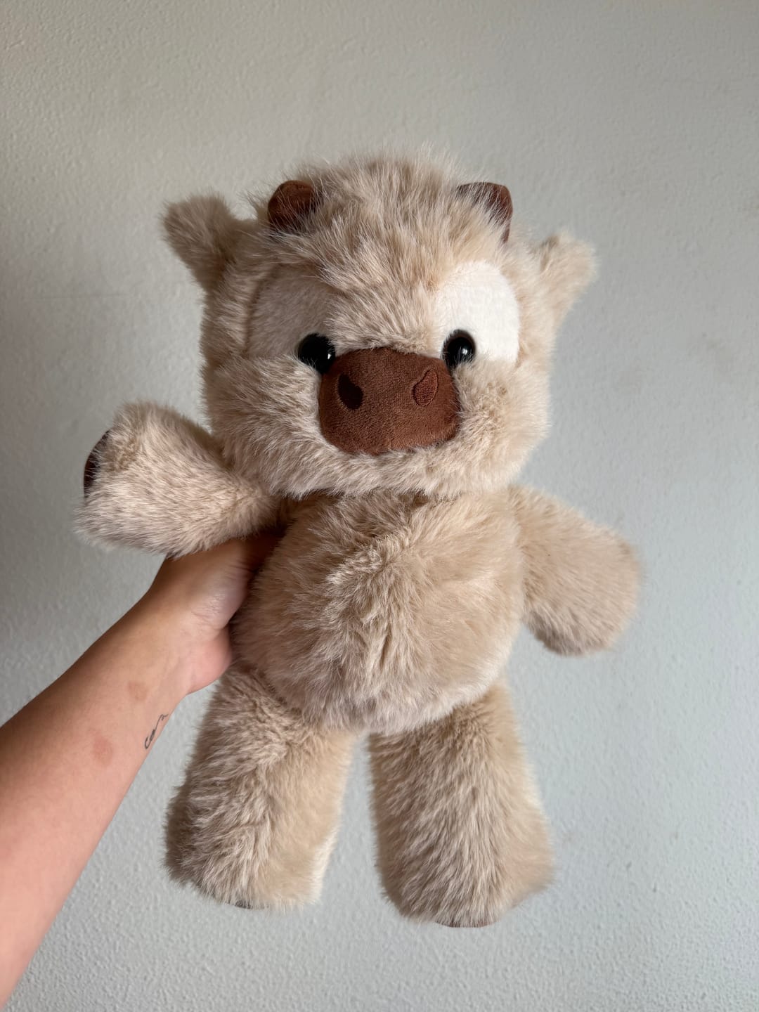 Customer photo review of Kiki & Koko los peluches que corren a tus brazos