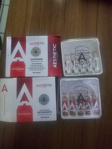 Cliente muestra el Ciclo de Masa Magra, con las cajas de Sustanon y Deca Durabolin y sus respectivas ampolletas.