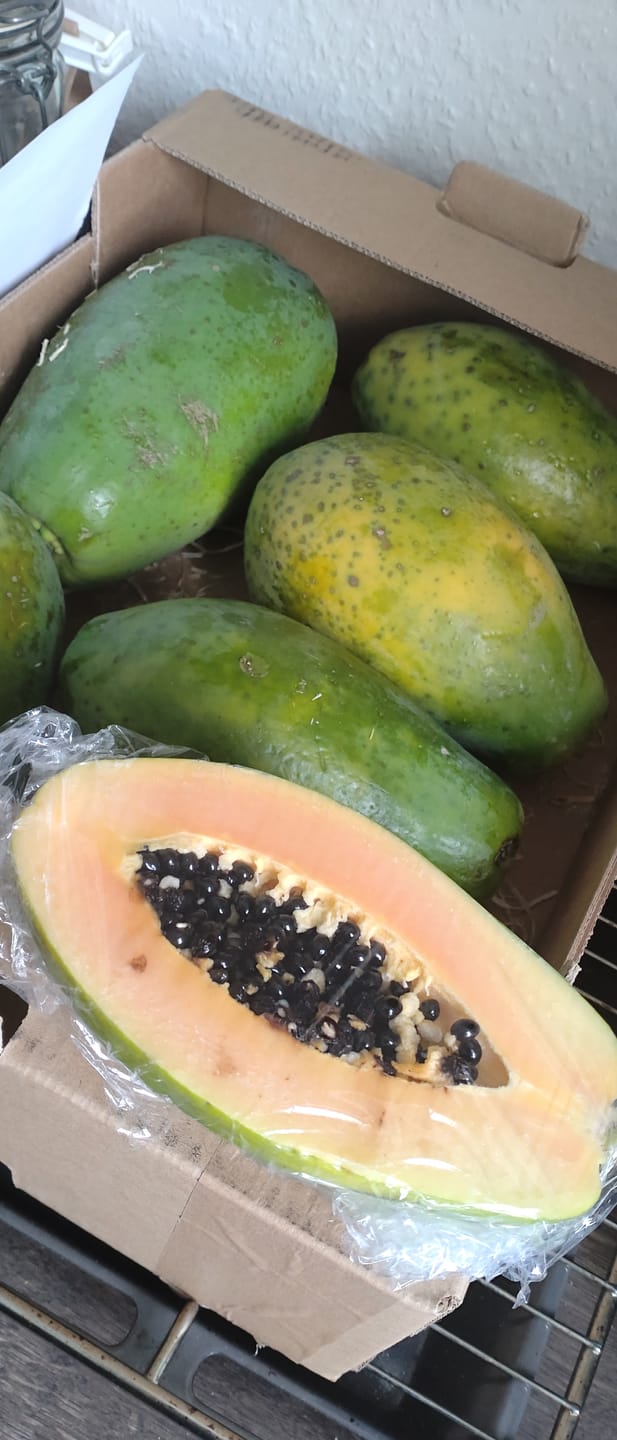 Customer photo review of Papaya Bio von Julian 4,5kg Box Sonderaktion %