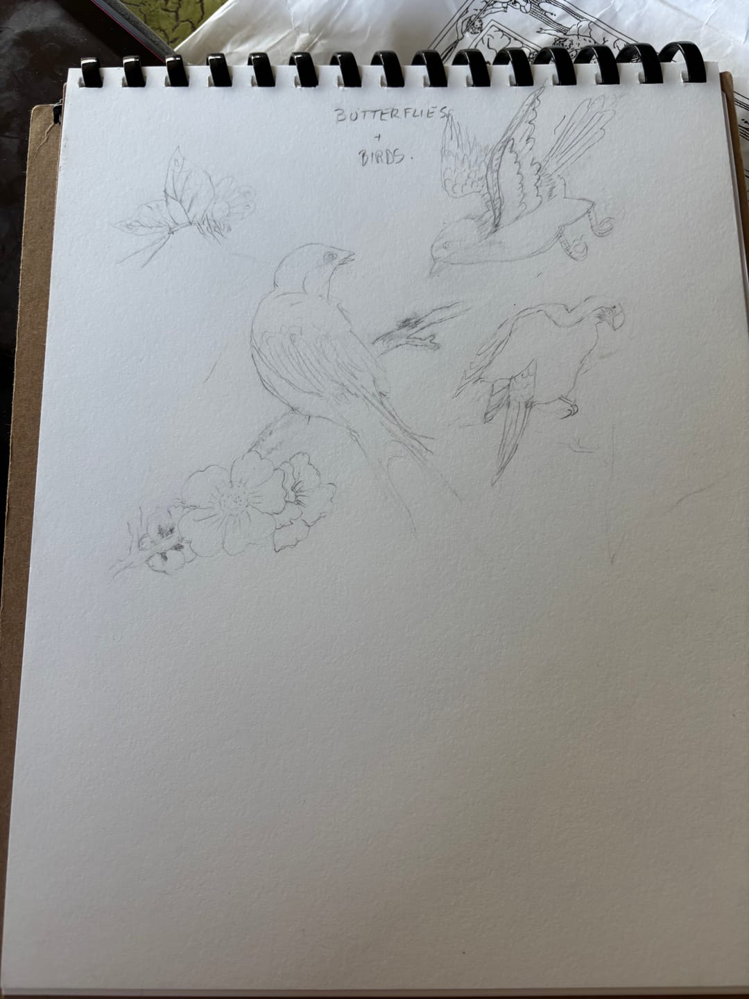 Customer photo review of How To Paint Chinoiserie Art Online Course