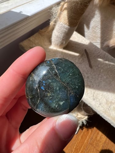 Customer holding a dark, polished crystal with iridescent blue flashes in the sunlight.