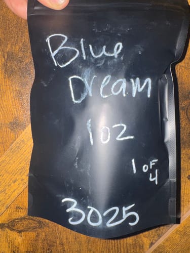 Customer photo review of Blue Dream - Sativa