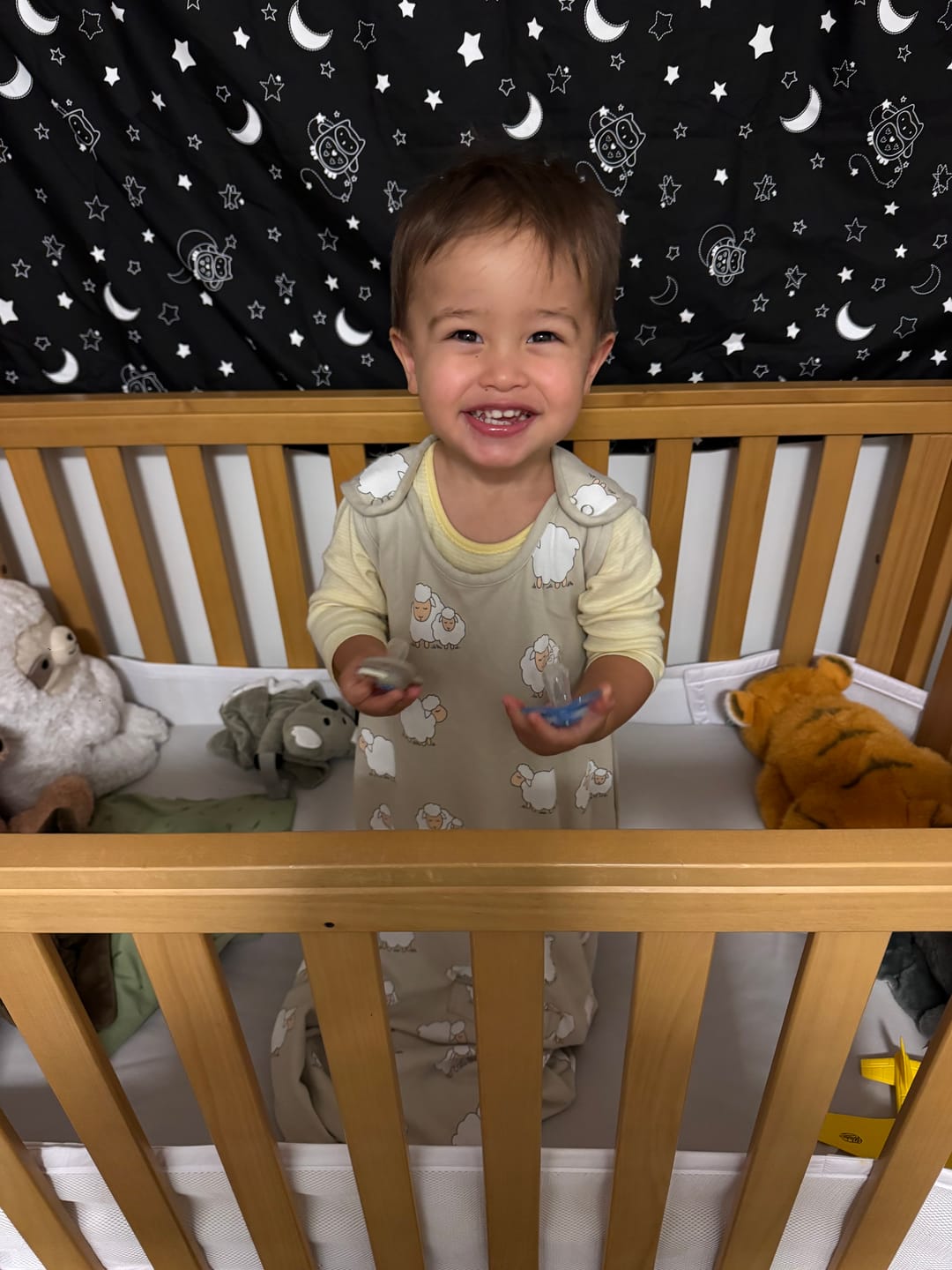 Customer photo review of 4 Season® Ultimate Baby Sleep Bag, Merino Wool & Organic Cotton, Sheep