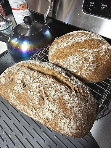 Customer photo review of Living Jin Foods: Sourdough Starter