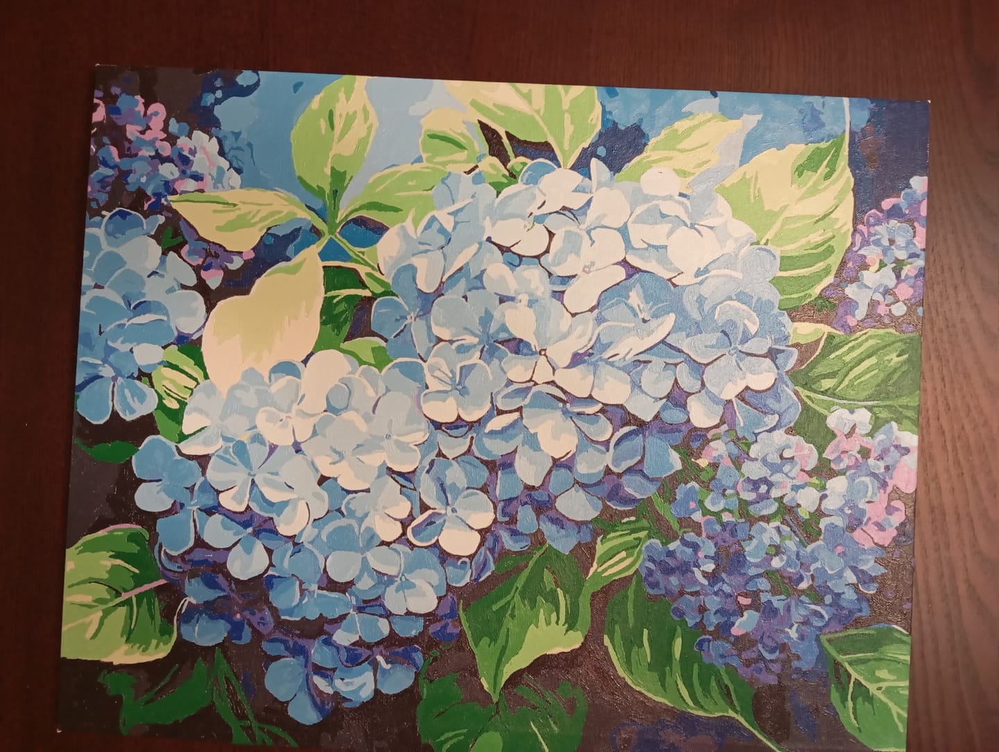 Customer photo review of Blue Hydrangea