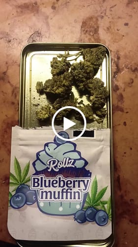 Customer video review of Blueberry Muffin THCA Flower