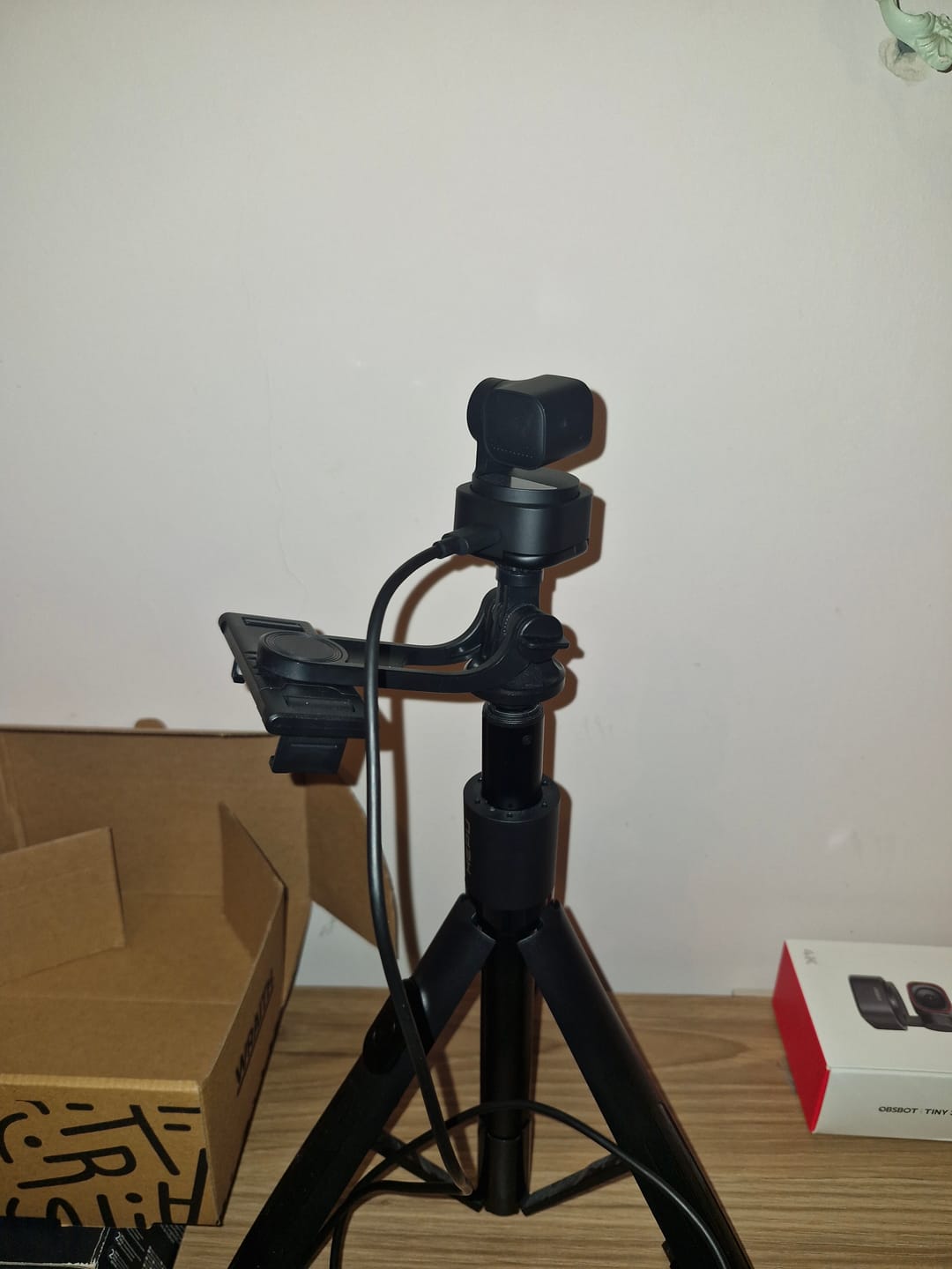 Customer photo review of OBSBOT Tiny 3 Lite Webcam