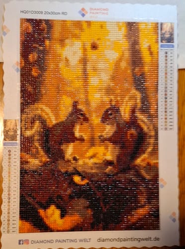Kundenbewertung mit Foto zu Eichhörnchen-Gespräch