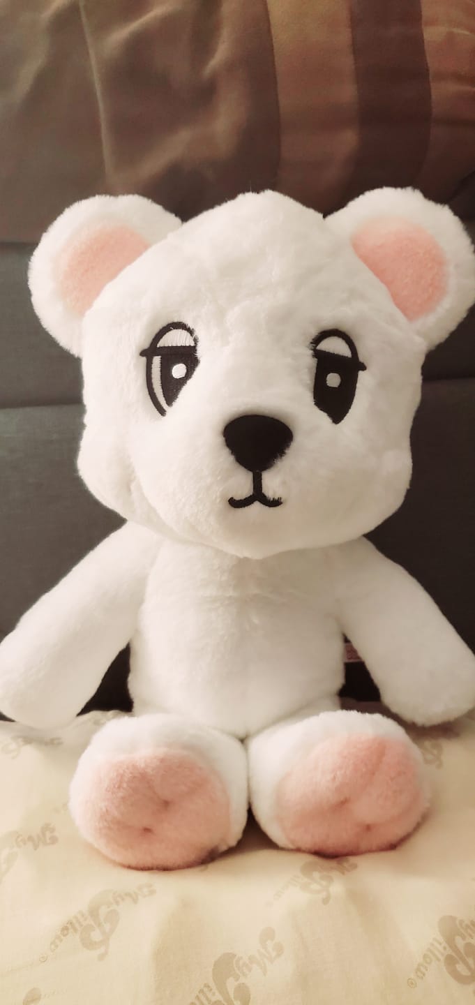 Customer photo review of LEE DONG WOOK [WOOKDONG’s Home Sweet Home] Big Wookdong Plush Doll
