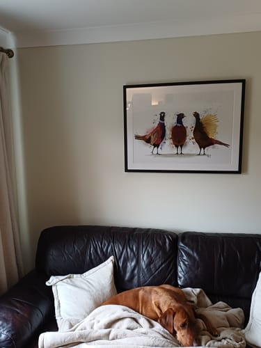 Customer photo review of Three Pheasants Framed Art Print