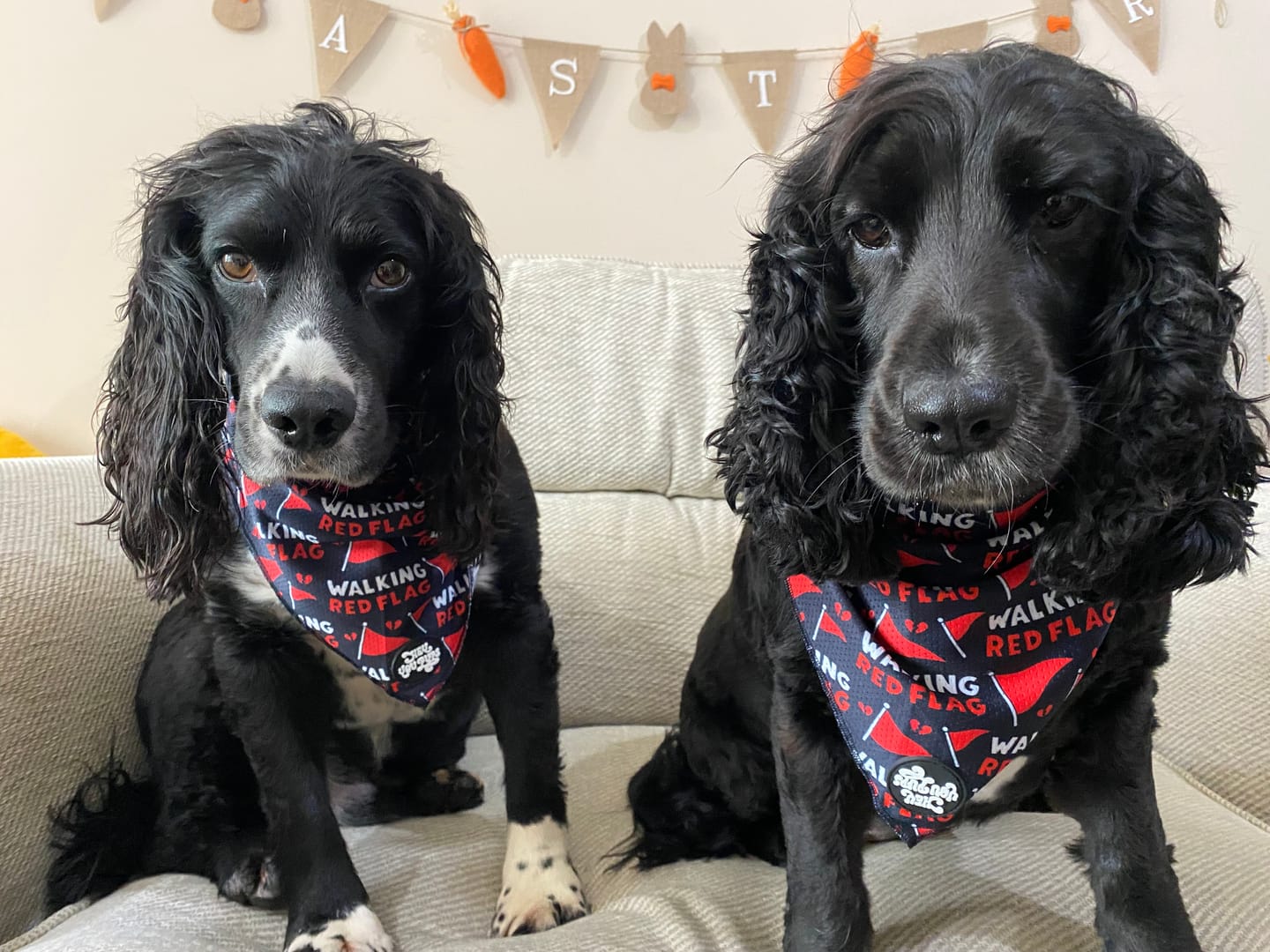 Customer photo review of Walking red flag bandana