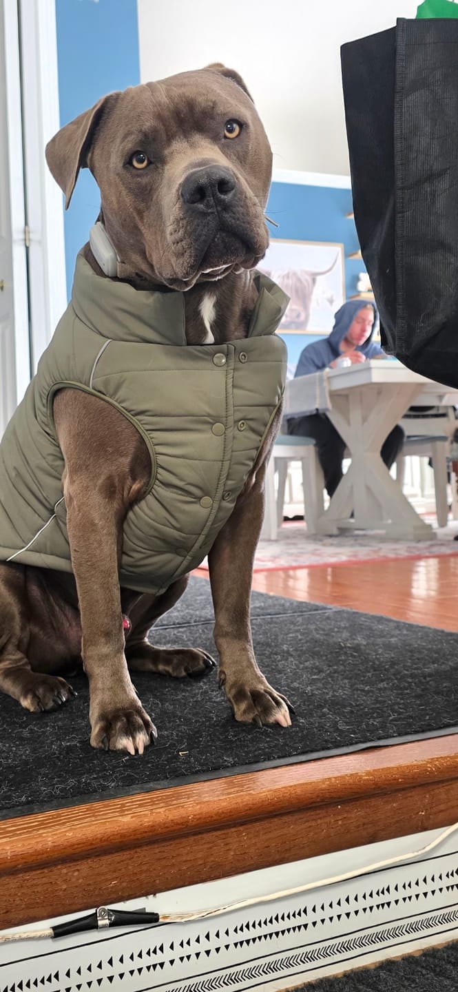 Customer photo review of WarmShield Water-Resistant Jackets