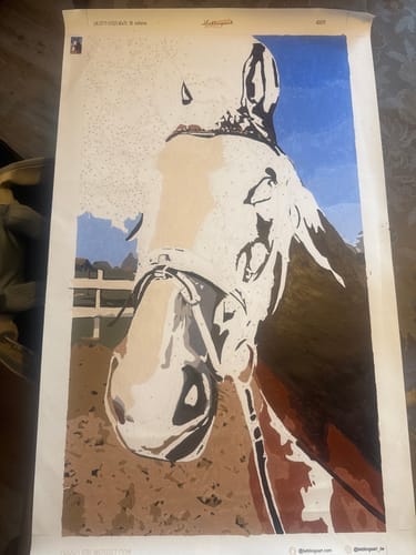 Customer photo review of PAINT BY NUMBERS | CUSTOM