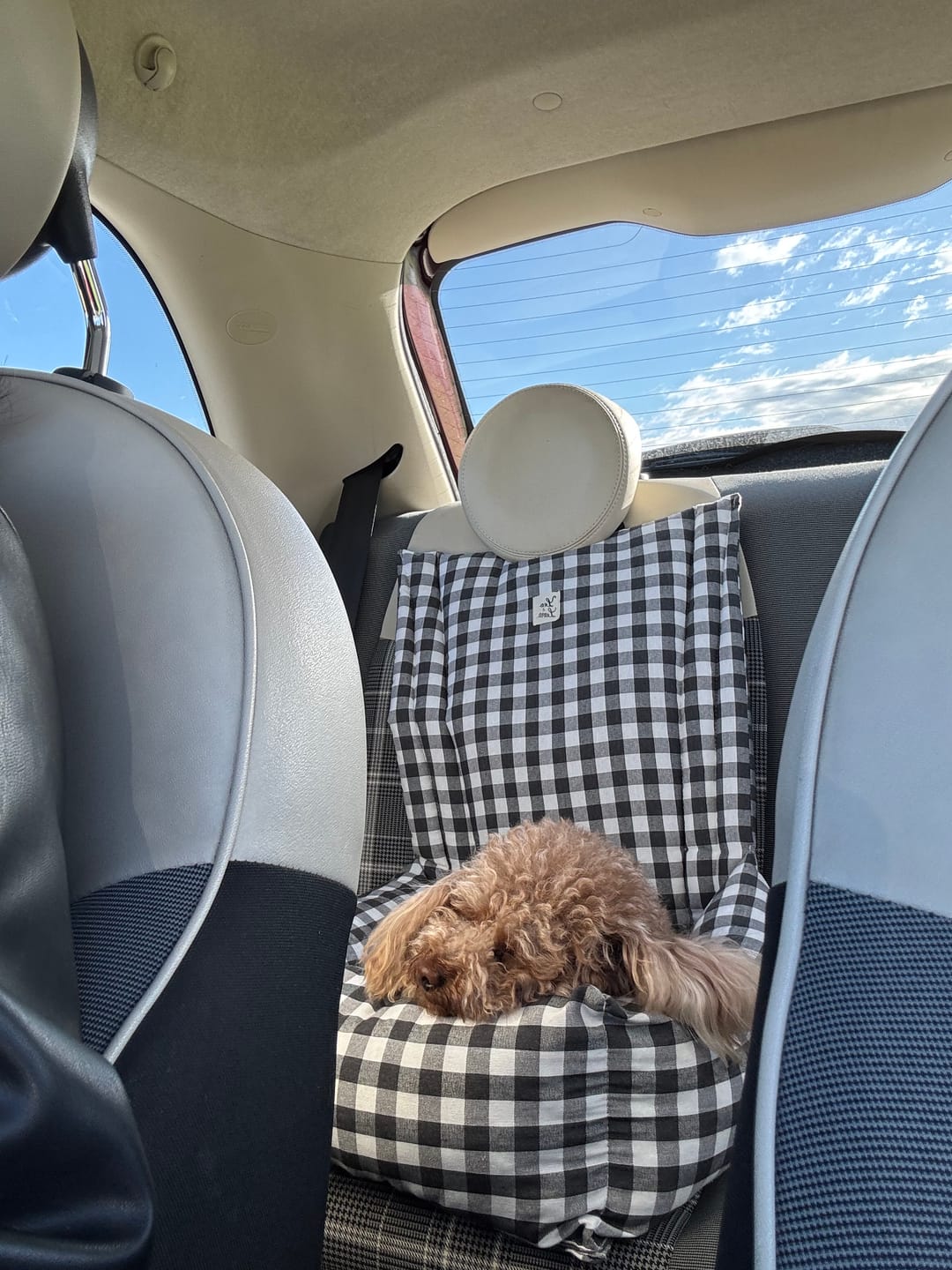 Customer photo review of Seggiolino Auto Cotone Quadretto Grigio