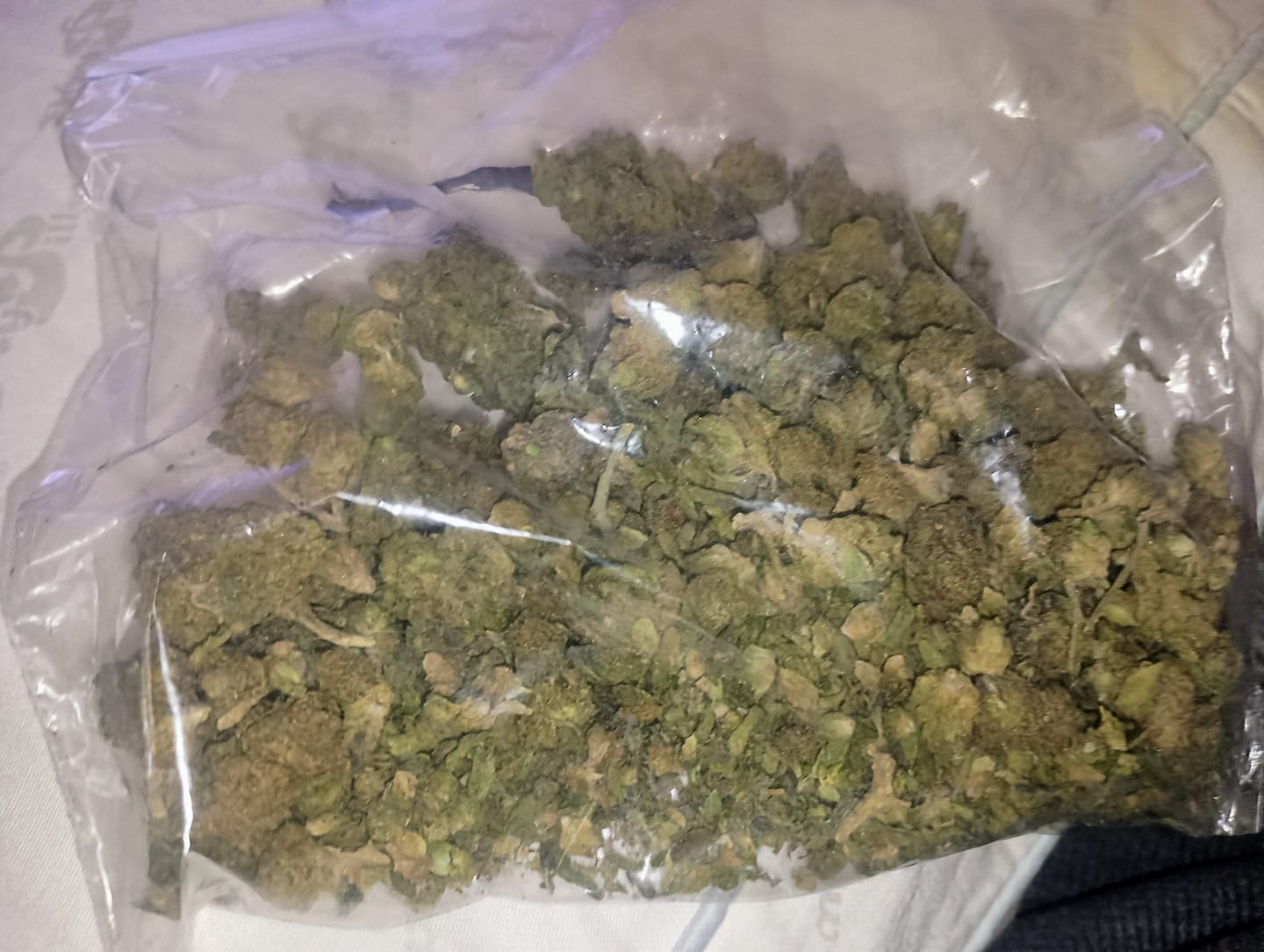 Customer photo review of Jungle Gelato - Bulk - Indica