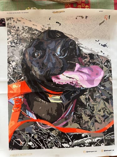 Customer photo review of PAINT BY NUMBERS | CUSTOM