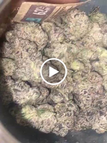 Pink Runtz Indoor - Bulk - Hybrid photo review