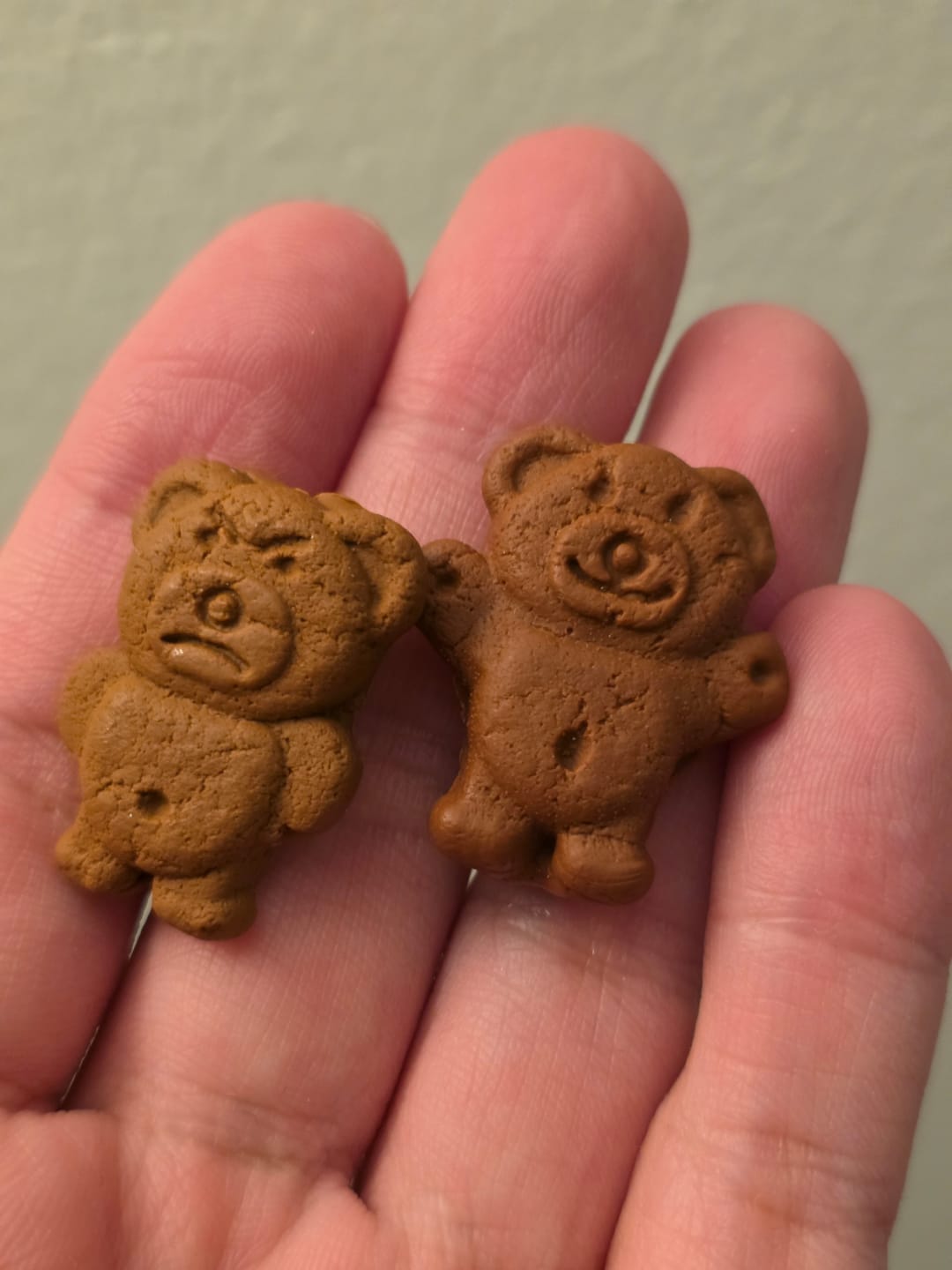 Customer photo review of Teddy Cookie Brooch