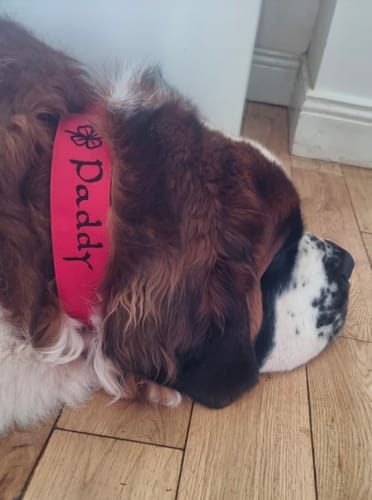 Customer photo review of Personalisation Fee €9.99