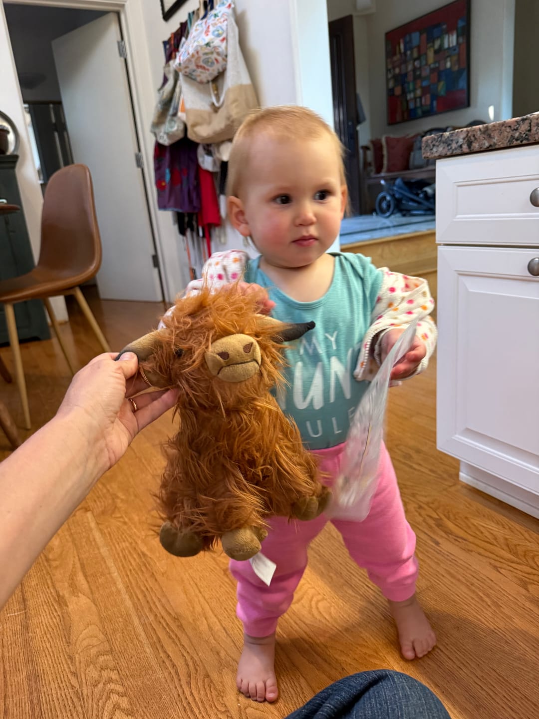 Customer photo review of Scottish Highland Cow Soft Stuffed Plush Toy