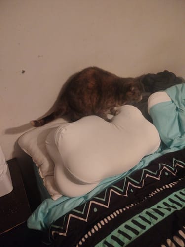 Customer photo review of Mellow CloudAlign™ Pillow