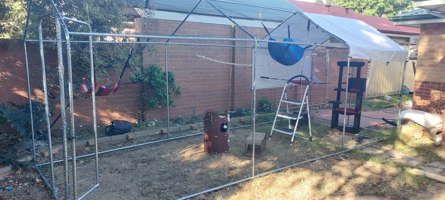 Customer photo review of Outdoor Cat Run Enclosure Large 6M