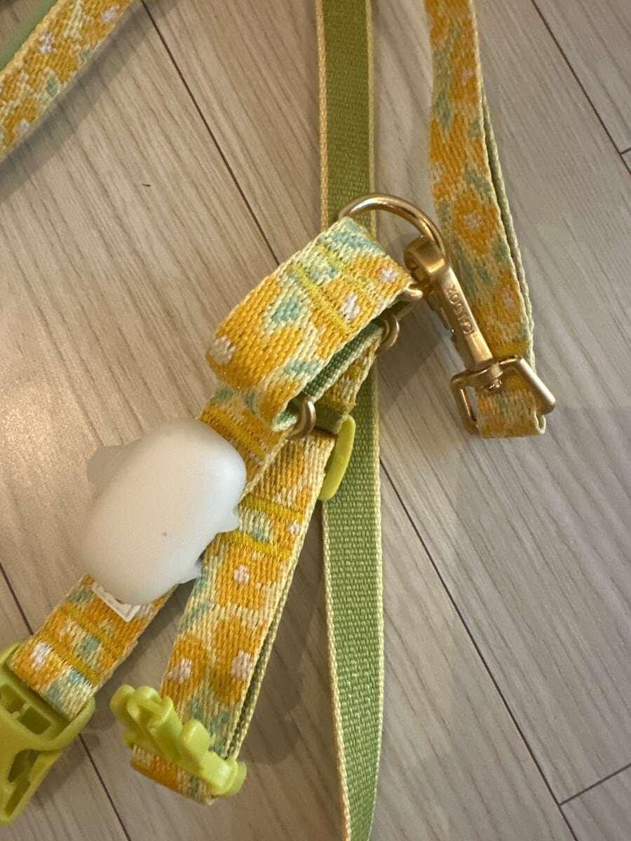 Customer photo review of Martingale Collar, Buckle_Milky Way