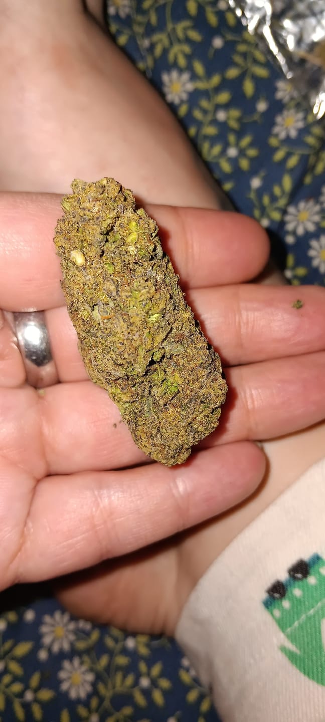 Customer photo review of Italian Ice Cream Cookies - Bulk - Hybrid