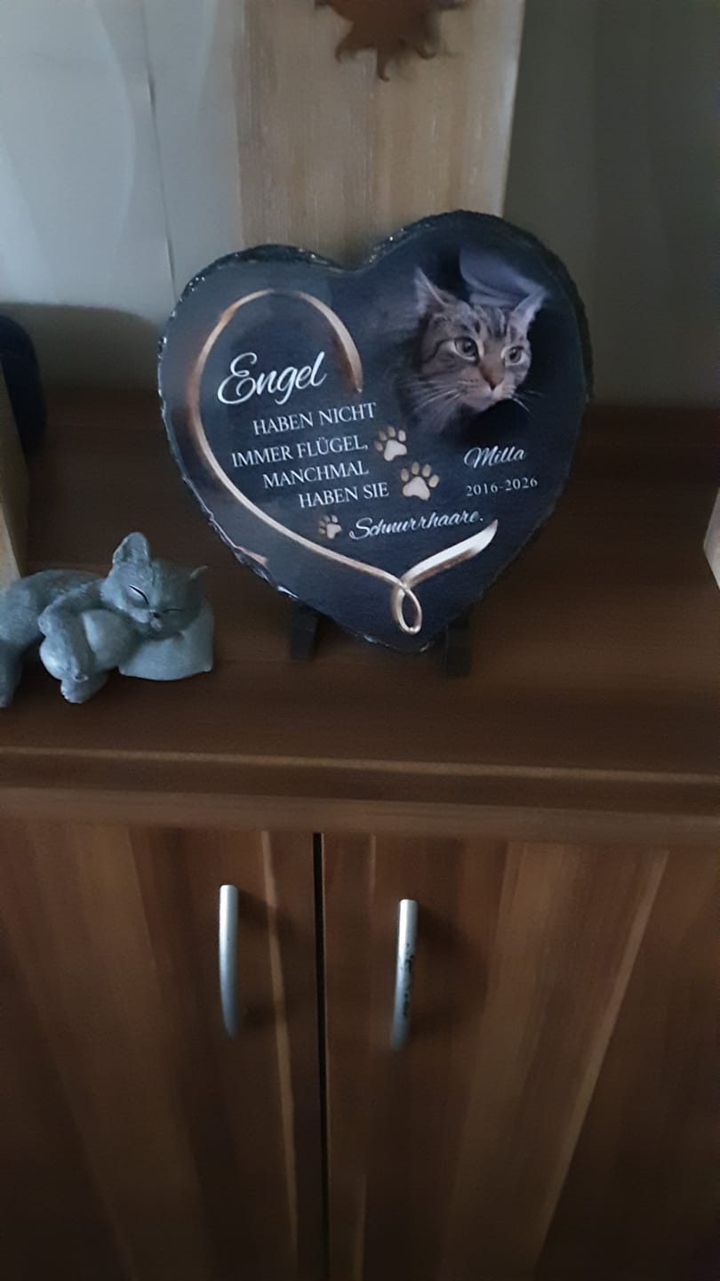 Customer photo review of Personalisiertes Schieferherz - Engel haben Schnurrhaare