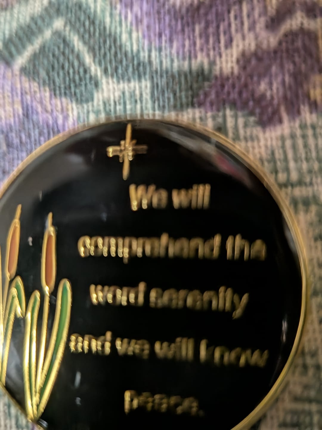 Customer photo review of 1 to 60 Year Dragonfly 9th Step Specialty AA Recovery Medallion - Tri-Plated Chip/Coin
