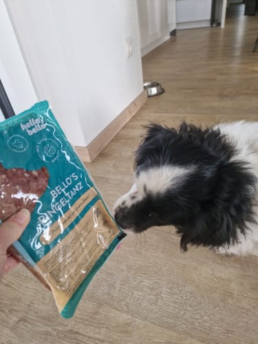 Customer photo review of Frischfutter für Energiebedarf von 426 kCal/Tag