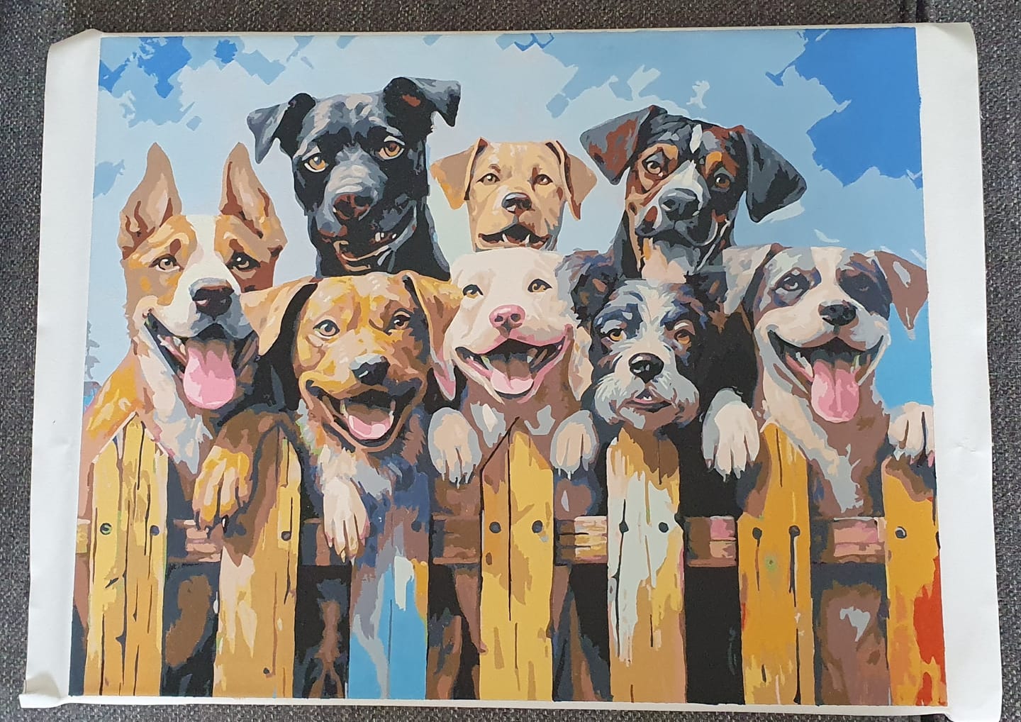 Customer photo review of Dog Days of Summer