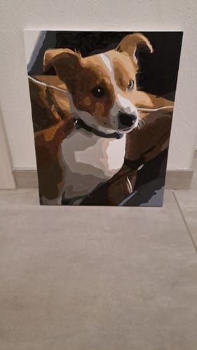 Customer photo review of PAINT BY NUMBERS | CUSTOM