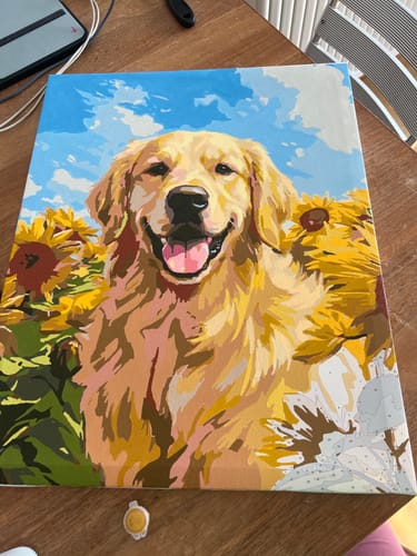 Customer photo review of Sunflower Retriever