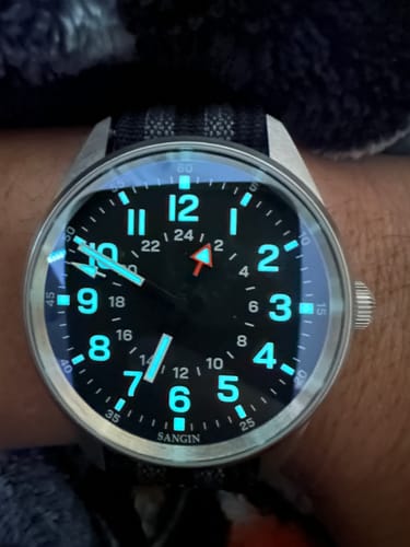 Customer photo review of Overlord (VIP)