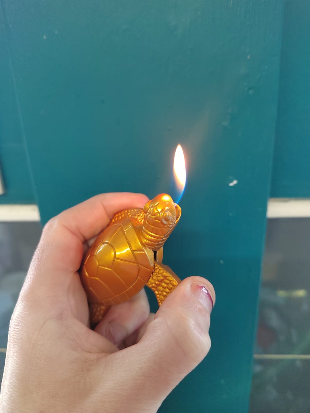 Customer photo review of Golden Turtle Lighter