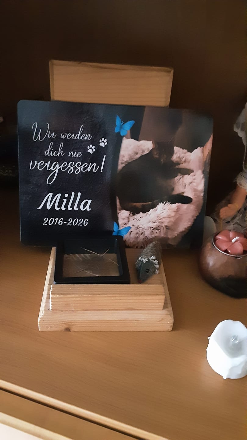 Customer photo review of Katzen Gedenktafel mit Foto & Spruch (UV- & Wetterfest)