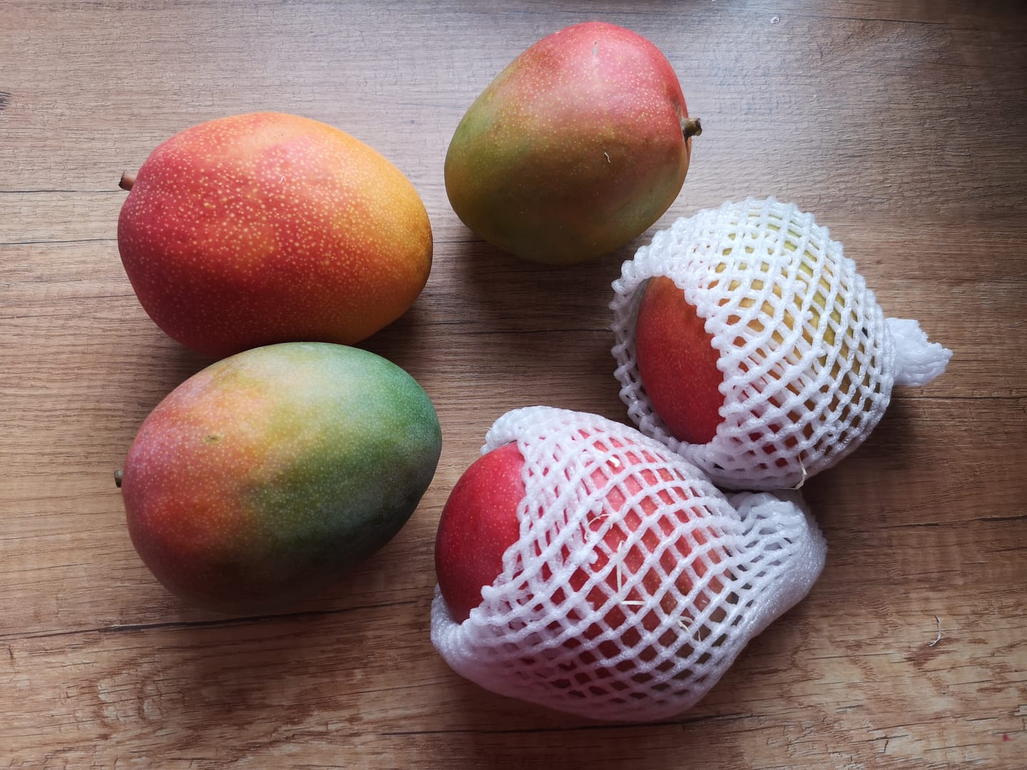 Customer photo review of Mango Kent Premium Bio von Karina baumgereift