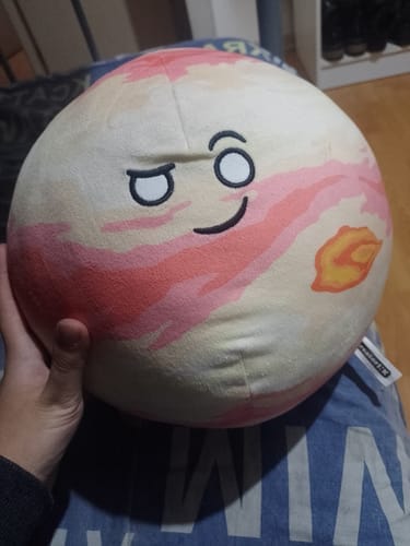 Customer photo review of The SolarBalls Jupiter Plush
