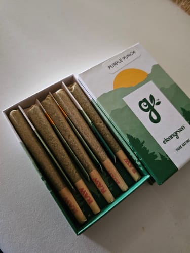 Customer's open box of Purple Punch Pre-Rolls arranged neatly inside.