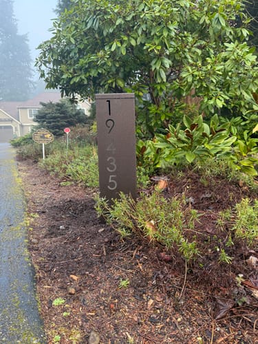 Customer photo review of Address Column