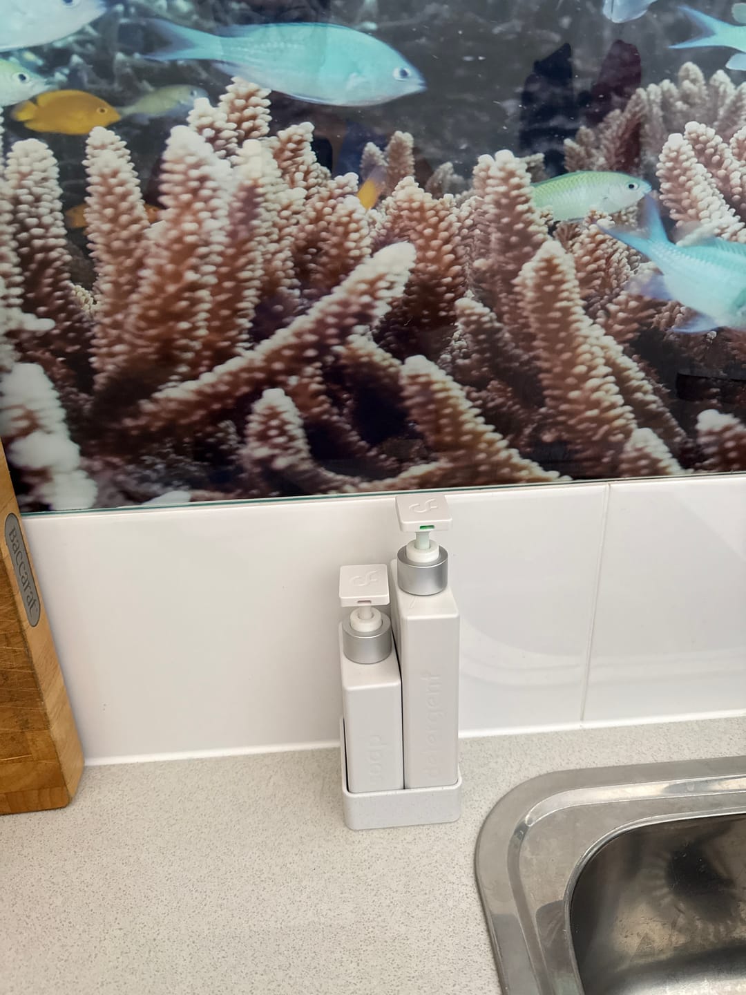 Customer photo review of Gleam & Go - Refillable Kitchen Soap Dispenser (Mini Set)