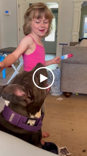 Customer video review of Matching Purple 6' Bully Proof Leash