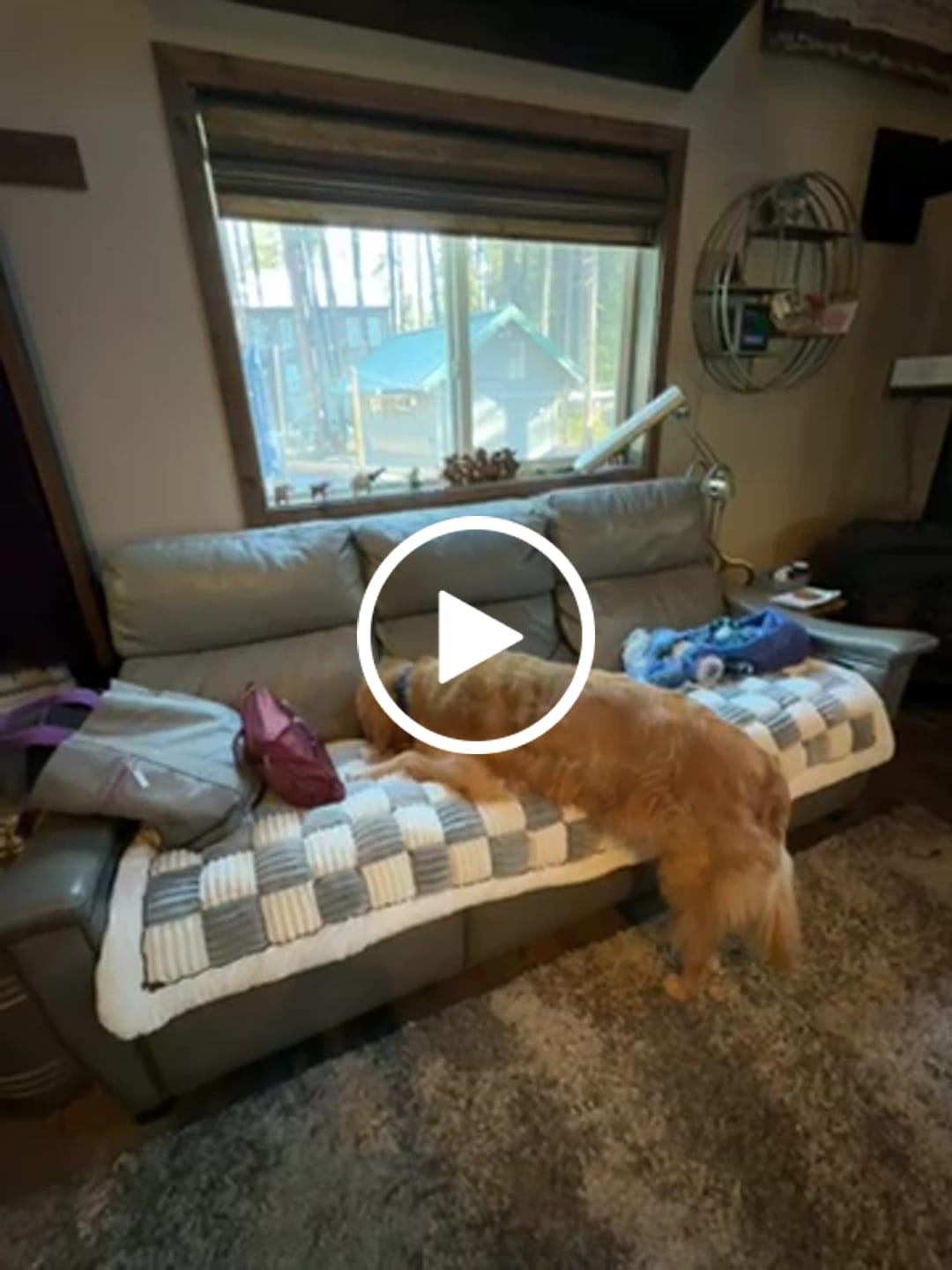 Customer video review of NEW 2-in-1 Furniture Protector & Dog Bed Couch Cover with Thick Orthopedic Padding, Non-Slip Grip, Scratch-Resistant Surface & Machine-Washable Fabric