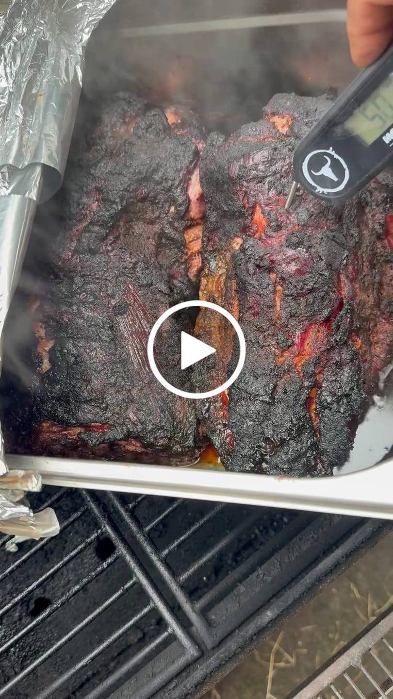 Customer video review of Thermometer No.2