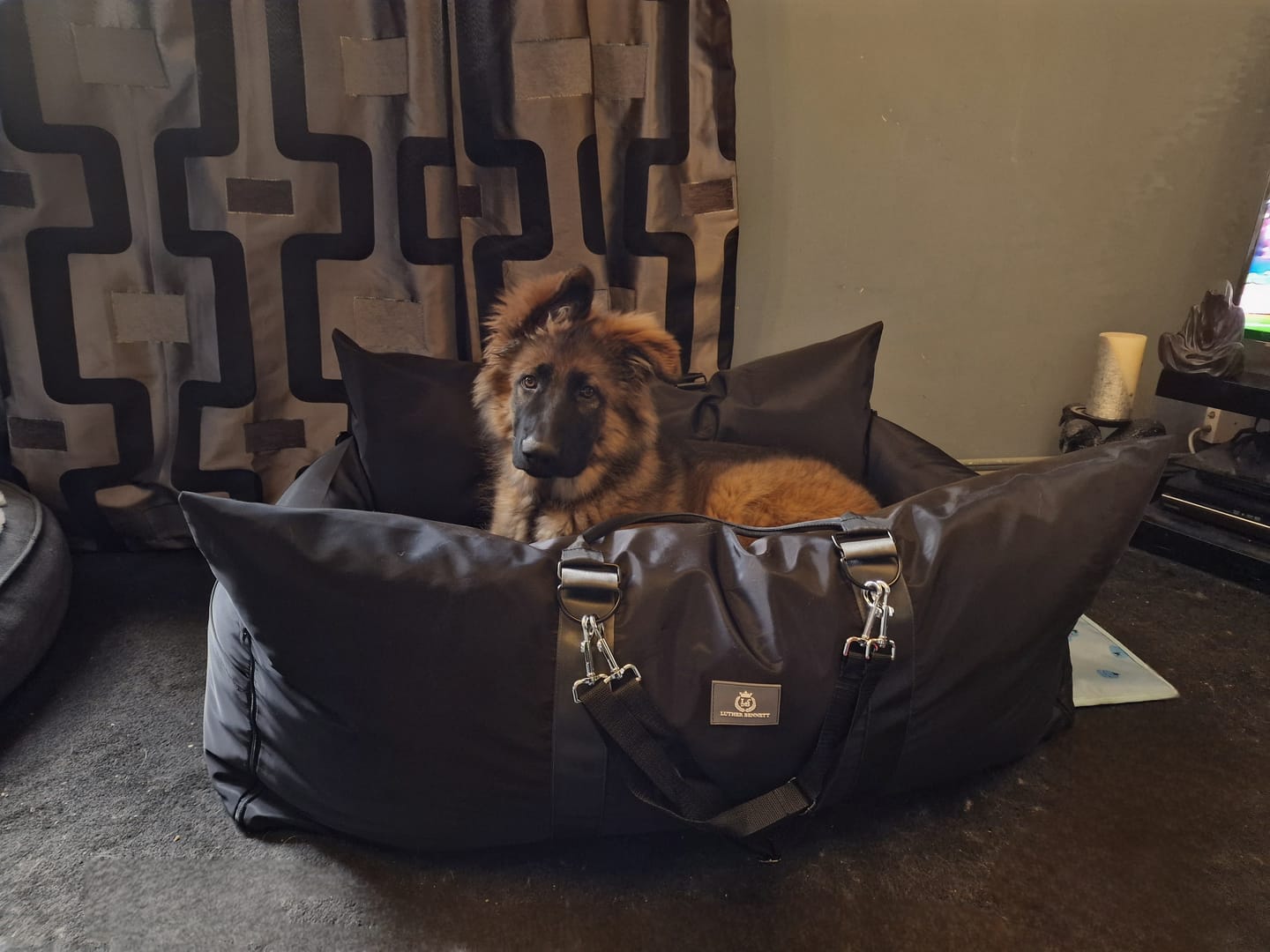 Customer photo review of Travel Dog Pod XL - Now With Isofix