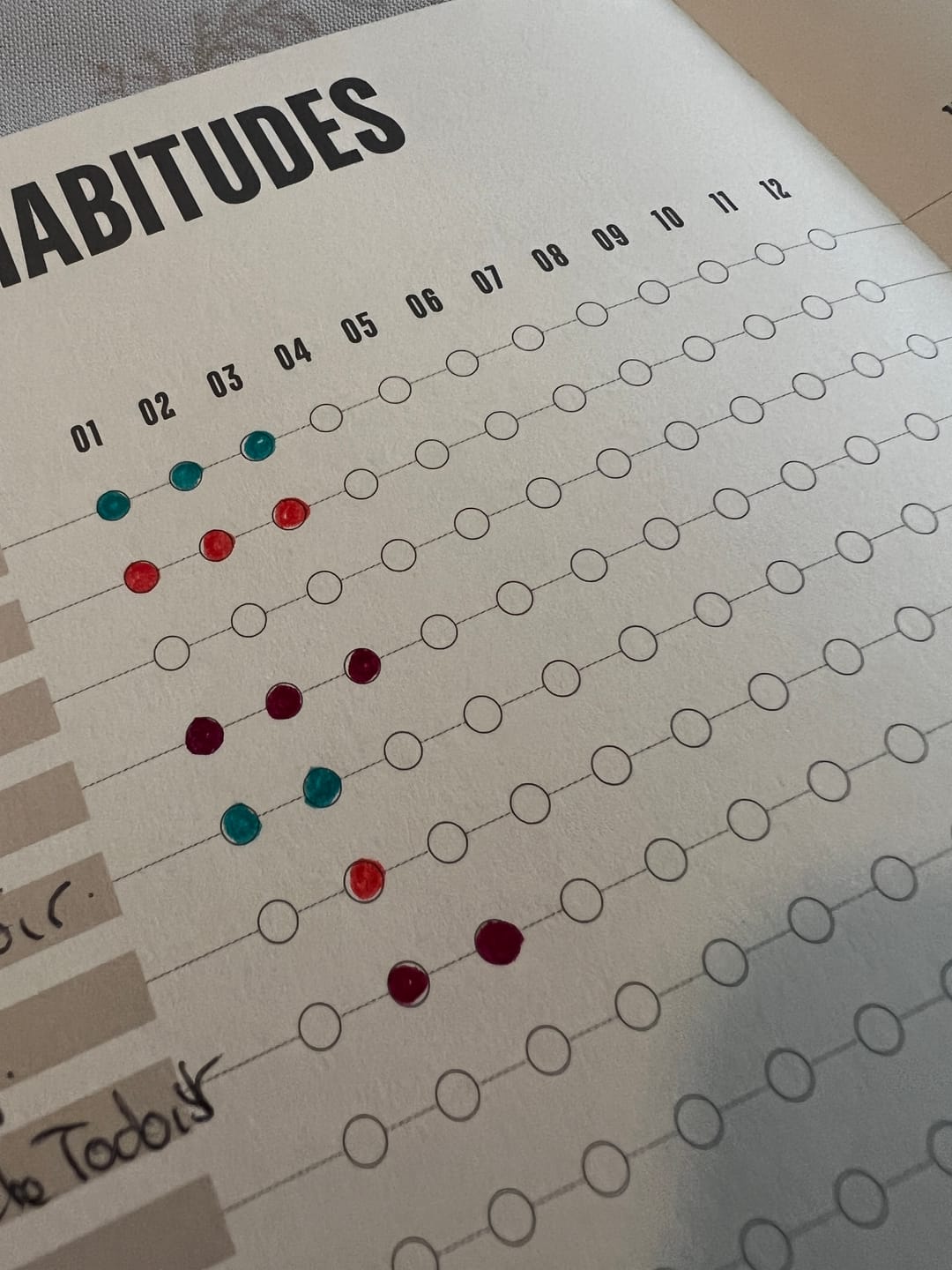 Customer photo review of Carnet des Habitudes