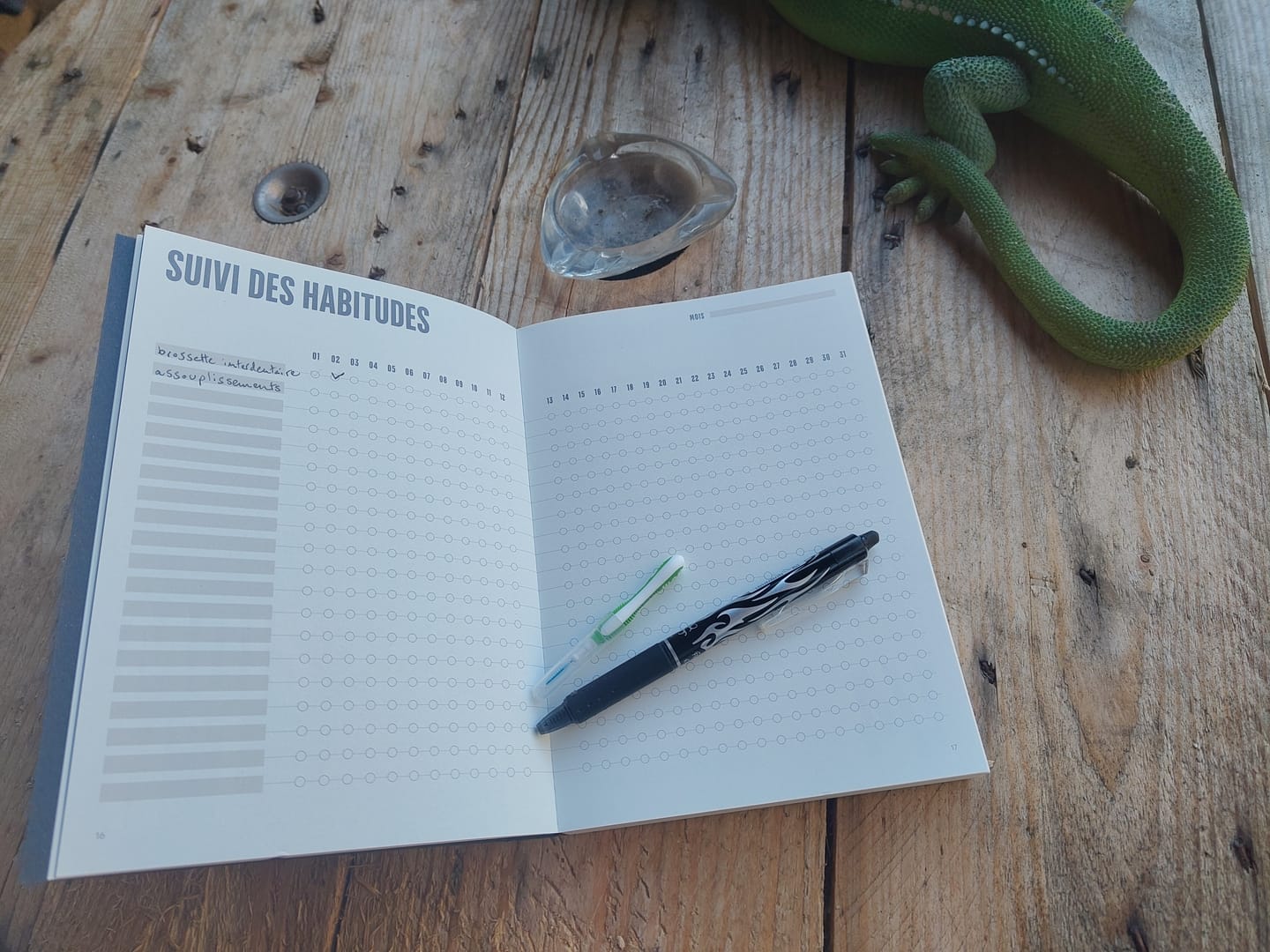 Customer photo review of Carnet des Habitudes