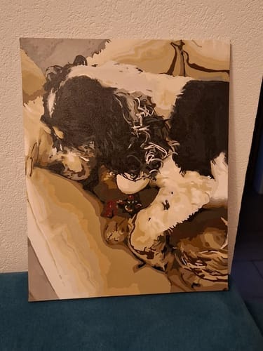 Customer photo review of PAINT BY NUMBERS | CUSTOM