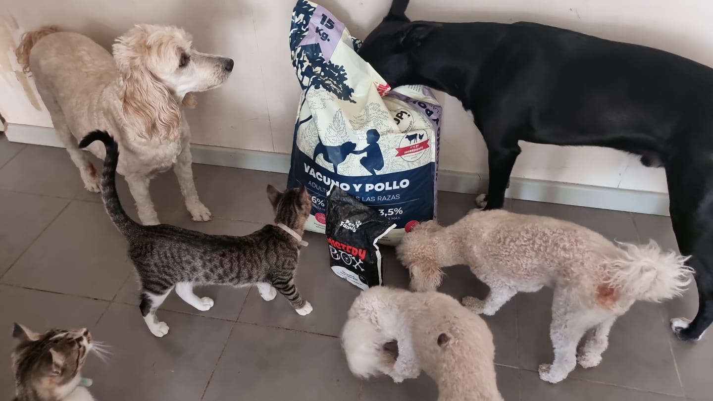 Customer photo review of PetFamily Foods Razas Pequeñas